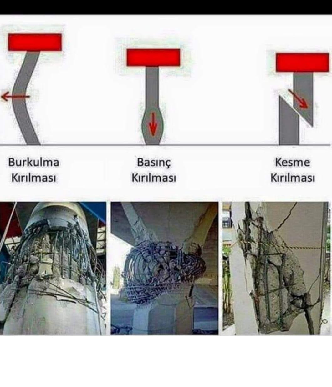 kolon güçlendirme